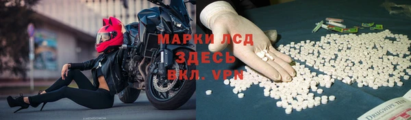 молекула духа Бородино