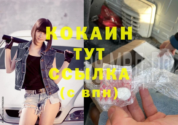 молекула духа Бородино