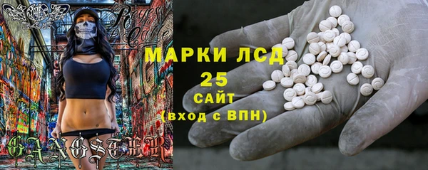 молекула духа Бородино