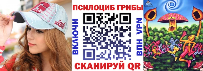 дарнет шоп  Гусев  Псилоцибиновые грибы MAGIC MUSHROOMS 