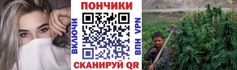 Марихуана Bruce Banner  Гусев 